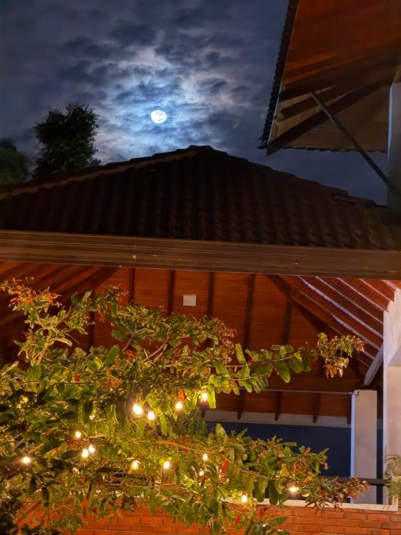 Night View